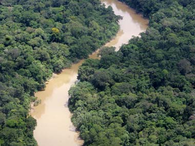 Scientists to study impact on Amazon rainforest if CO2 levels rise Scientists to study impact on Amazon rainforest if CO2 levels rise