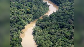 Ecuador's president Rafael Correa abandons no-drilling plan for Amazon