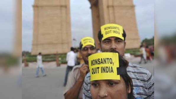 Farmers bodies oppose SC panel ban on GM crops