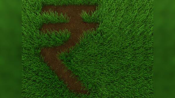 Only reining in dollar demand, building buffers will help rupee now