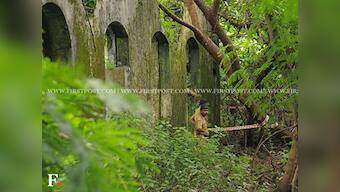 Accused in both cases of gang rape at Shakti Mills convicted