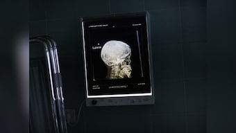 Scientists decode how brain remains focused on long-term goals