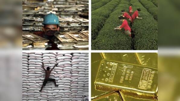 Indian capitalism is the biggest obstacle to reforms