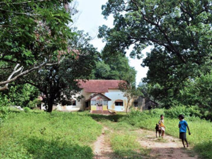 Fifty percent of Jharkhand kids suffer from poor eyesight 