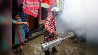 Dengue epidemic likely to be more severe next year in South-East Asian countries