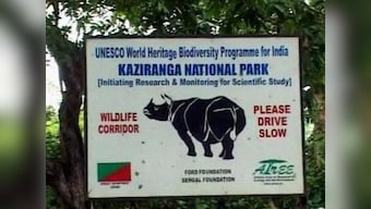 Assam: Two rhinos killed in Kaziranga, poachers escape