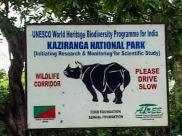 Assam: Two rhinos killed in Kaziranga, poachers escape