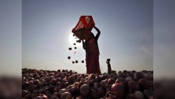 Govt imported over 8,000 tonnes of onions to combat inflation in Sept-Nov period