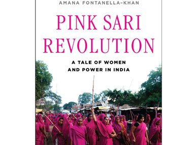 'Pink Sari Revolution' illuminates the power of grassroots activism 'Pink Sari Revolution' illuminates the power of grassroots activism