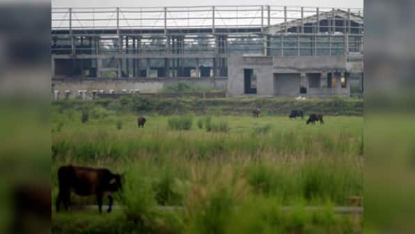 PIL in Calcutta HC says land mafia forcefully buying land from farmers
