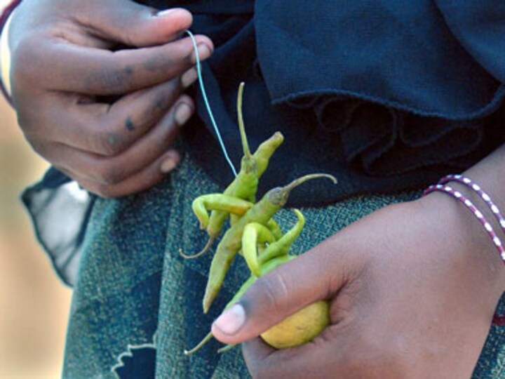 Maharashtra bans black magic, superstitious practices