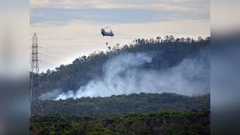 Japan asks US to not fly helicopters till crash probe ends