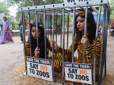 Freedom! Animals from Udaipur zoo to be released into forests-Fwire