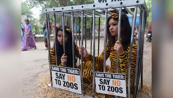Freedom! Animals from Udaipur zoo to be released into forests