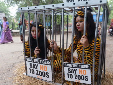 Freedom! Animals from Udaipur zoo to be released into forests Freedom! Animals from Udaipur zoo to be released into forests