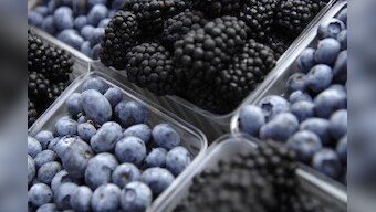 Study: Red grapes, blueberries may enhance immune function