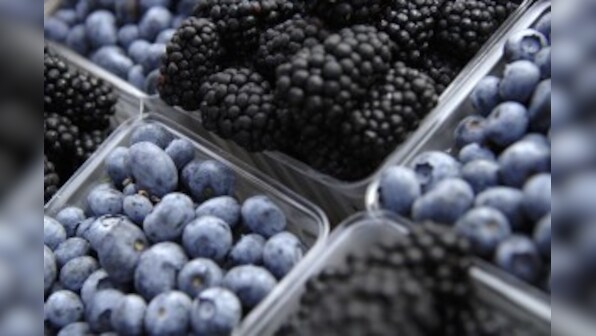 Study: Red grapes, blueberries may enhance immune function