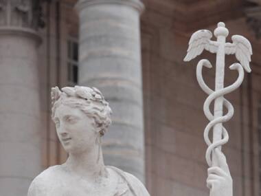 And then there are the actual snakes -- in sculpture, films, cartoons and in reality.