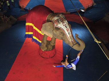 Coronavirus Outbreak: Circus companies stare at losses, uncertainty with lockdown; trapeze artistes, clowns may soon be jobless Coronavirus Outbreak: Circus companies stare at losses, uncertainty with lockdown; trapeze artistes, clowns may soon be jobless