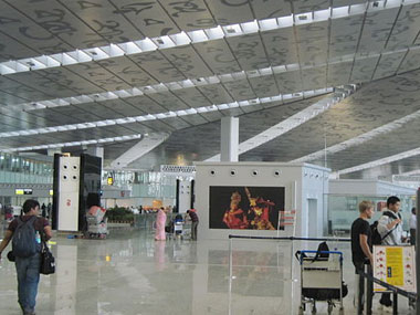 AAI unions to govt: Don't hand over big airports to private cos AAI unions to govt: Don't hand over big airports to private cos