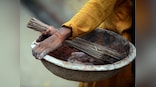 Kerala govt allots Rs 10 crore to eliminate manual scavenging; plans health study to rehabilitate workers