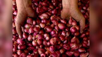 MP hoarding onions to give political mileage to BJP, accuses Delhi govt