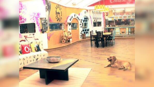 Bigg Boss goes to the dogs. Bechara dog.