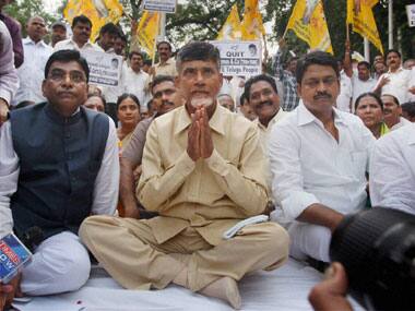 Former Andhra Pradesh CM N Chandrababu Naidu. PTI