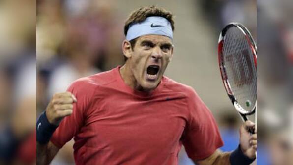 Japan Open: Del Potro in quarters; Tsonga knocked out