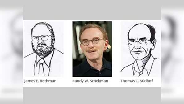Rothman, Schekman, Sudhof share 2013 Nobel Prize for medicine
