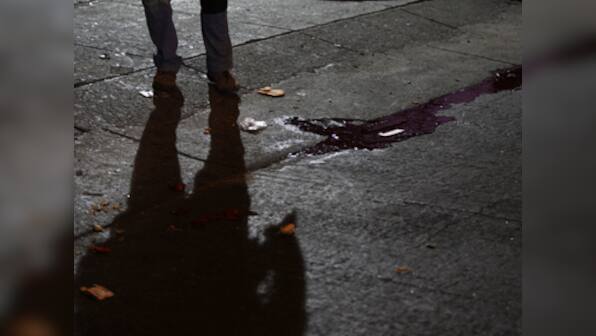 Youth kills girlfriend, commits suicide