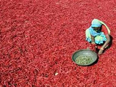 he Spices Park set up in Sivaganga at a cost of Rs. 20 crore is aimed at creating infrastructure and processing facilities for turmeric and chilli produced in Tamil Nadu.