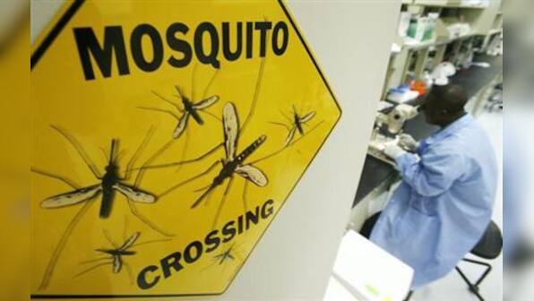 GSK aims to market world's first malaria vaccine