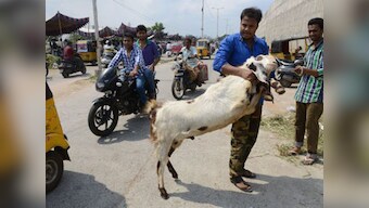 Ahead of Eid, sacrificial animals cost more than cars in Pakistan