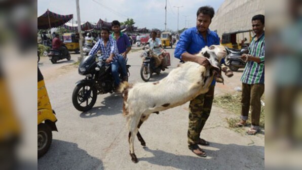 Ahead of Eid, sacrificial animals cost more than cars in Pakistan