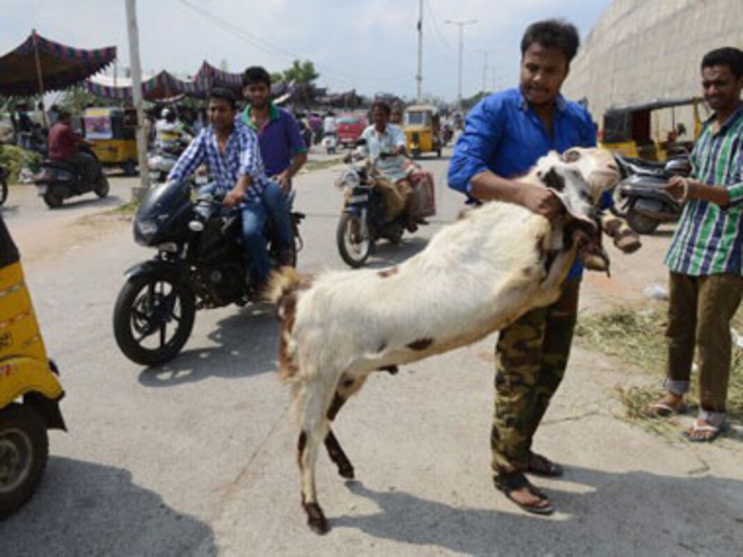 Ahead of Eid, sacrificial animals cost more than cars in Pakistan-World  News , Firstpost