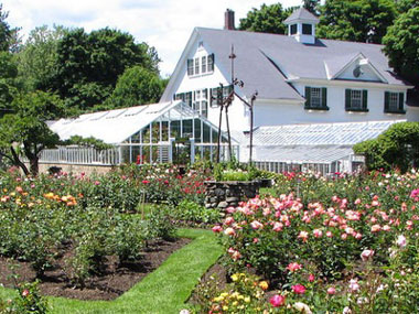 Delhi luxury real estate may plummet as country homes are the new flavour Delhi luxury real estate may plummet as country homes are the new flavour