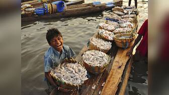 Businesses should play bigger role in fish conservation: World Bank report