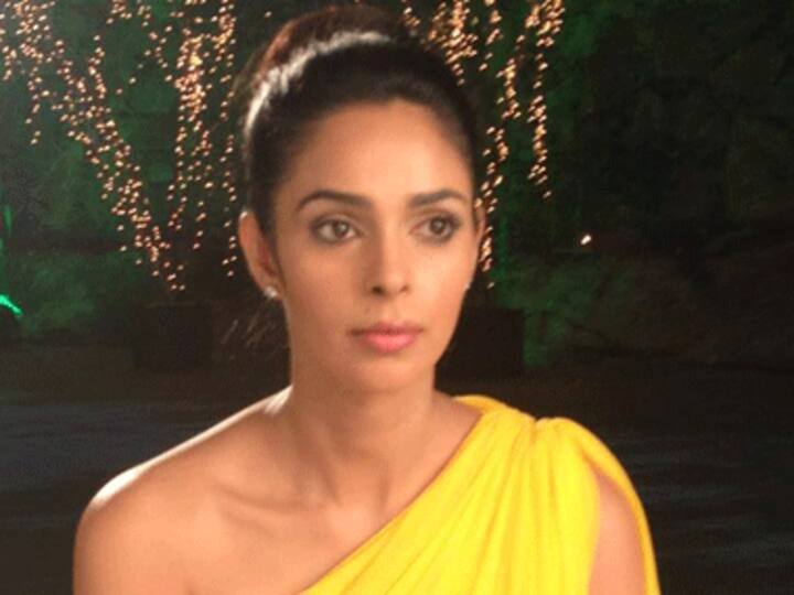 Kinkiest gift I'll give is silk blindfold and ostrich feather: Mallika