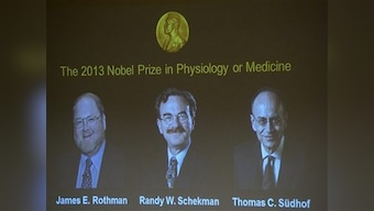 Nobel Prize in Medicine awarded to three doctors: All you need to know