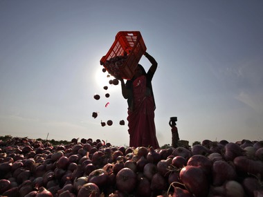 WB government selling onions at Rs36 in 40 stores through state WB government selling onions at Rs36 in 40 stores through state