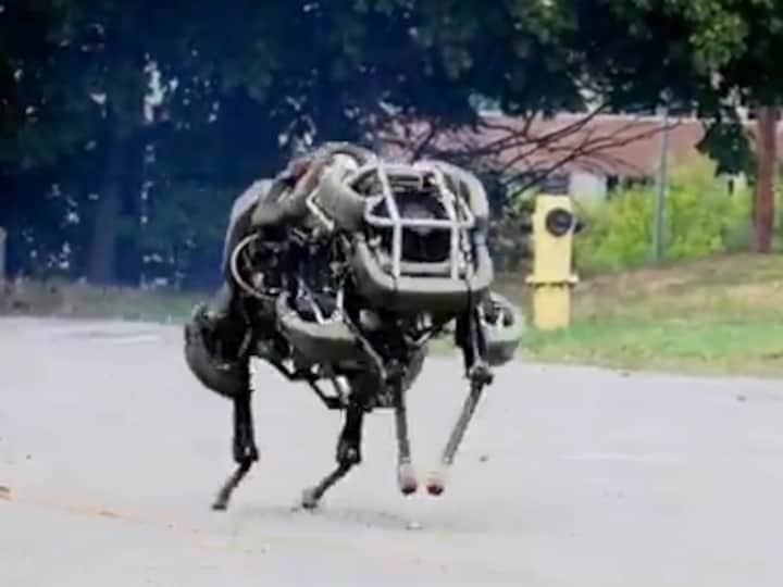 Check out Atlas, Wildcat: The latest walking and running robots