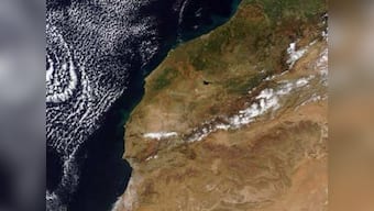 Atmospheric oxygen during dinosaurs' time much lower than assumed, says study