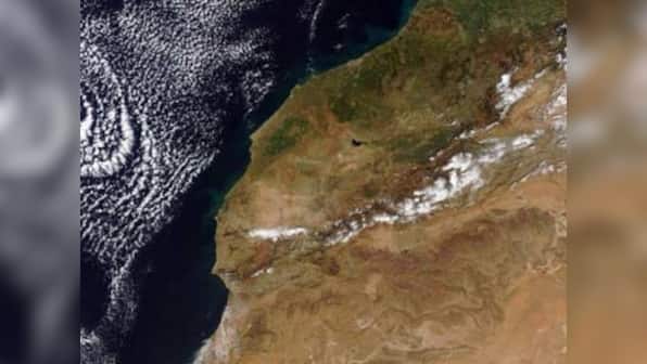 Atmospheric oxygen during dinosaurs' time much lower than assumed, says study