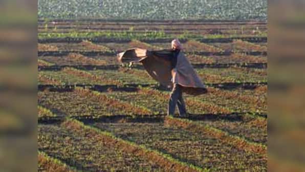  RBI panel for raising PSL cap to 50%, DBT to farmers