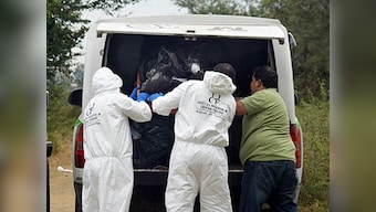 Count of bodies in Mexico mass graves rises to 42 