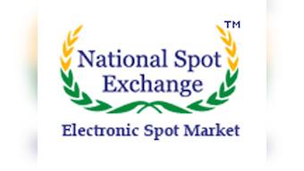 NSEL scam: Ex-CEO Anjani Sinha sent to jail