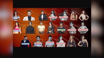 Who's who in Bigg Boss 7: An ultimate guide to the contestants 