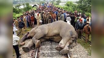 Jalpaiguri: Locals block track over jumbo deaths, carcasses being removed