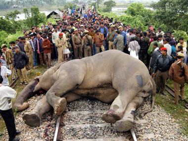Jalpaiguri: Locals block track over jumbo deaths, carcasses being removed Jalpaiguri: Locals block track over jumbo deaths, carcasses being removed